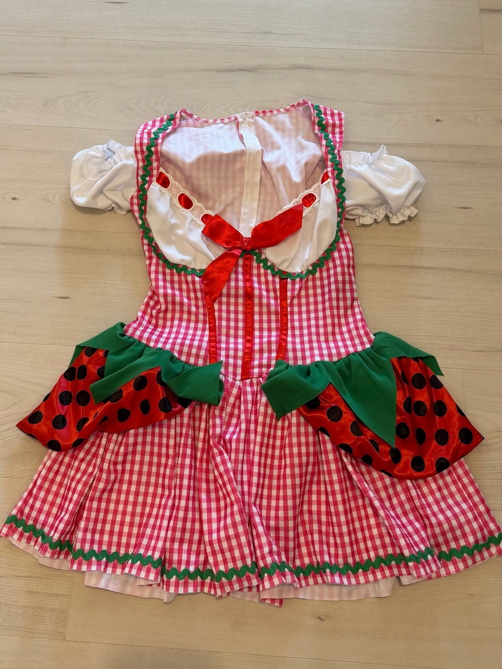 Women’s Pink Gingham Costume Dress